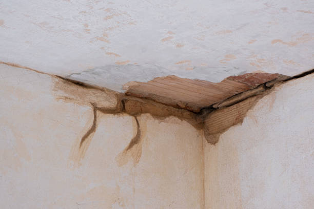 Best Water damage restoration near me  in Heber, UT
