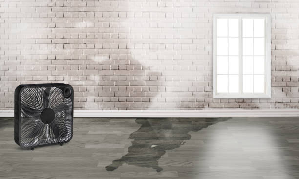 Water damage restoration mold remediation in Heber, UT