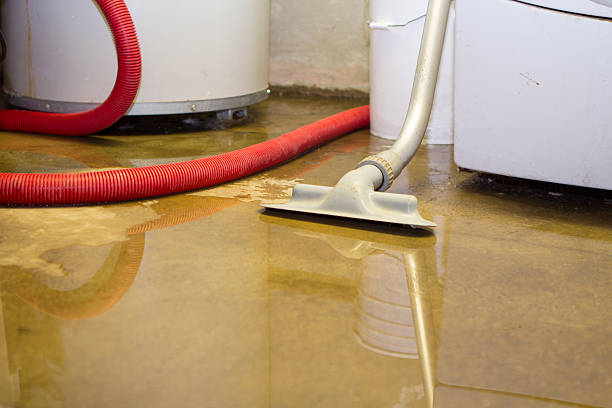Best Basement water damage restoration  in Heber, UT