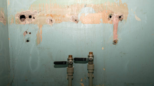 Best Commercial water damage restoration  in Heber, UT