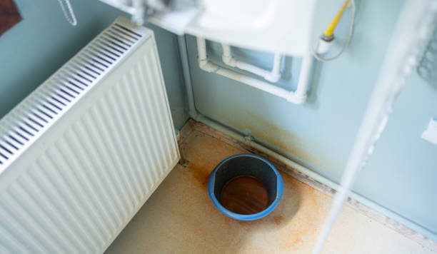 Best Water damage cleanup near me  in Heber, UT