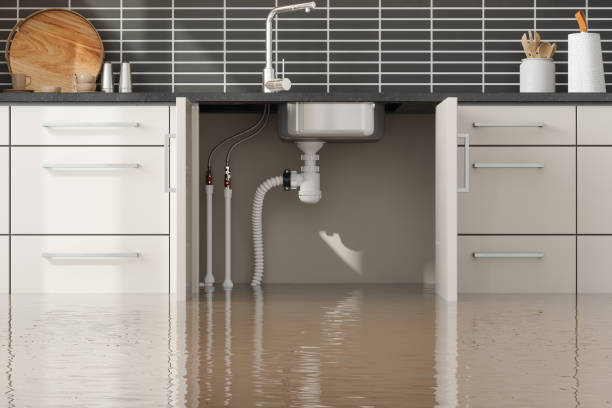 Trusted Heber, UT Water damage restoration Experts